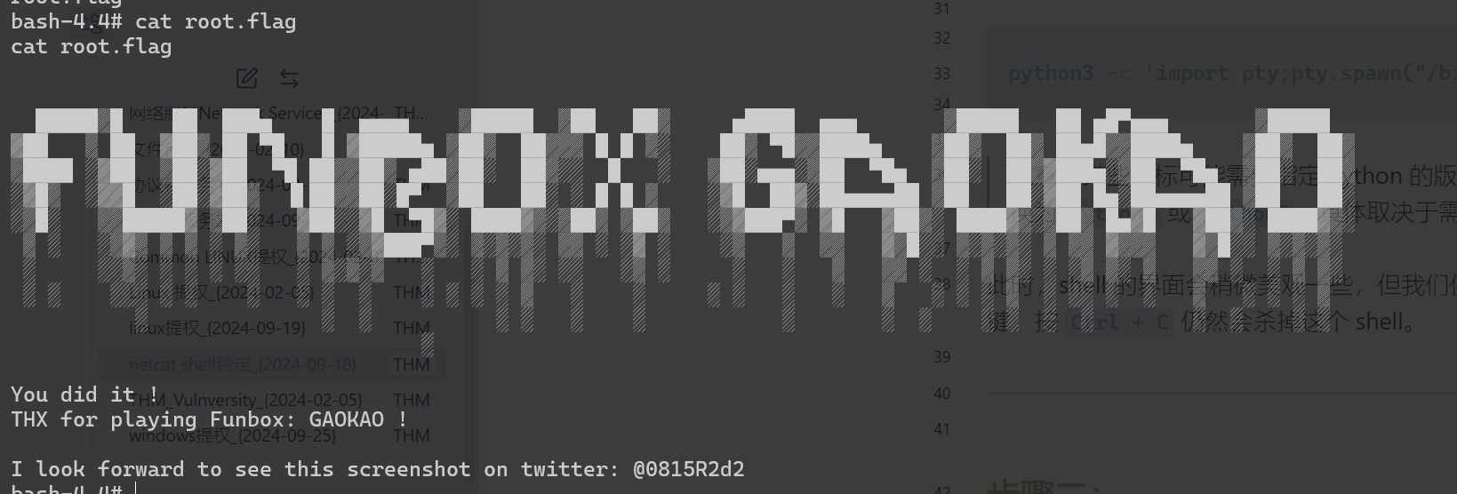 Pasted image 20250209223550.png